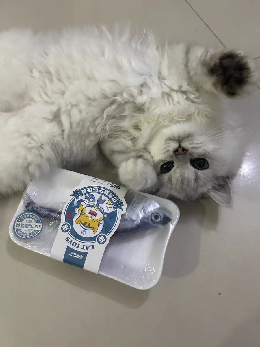 Customer photo review of 100% Natural Catnip Cat Toy