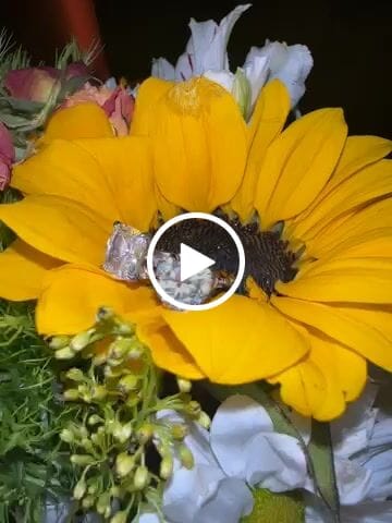 Customer video review of Louily Unique Cushion Cut Women's Engagement Ring In Sterling Silver