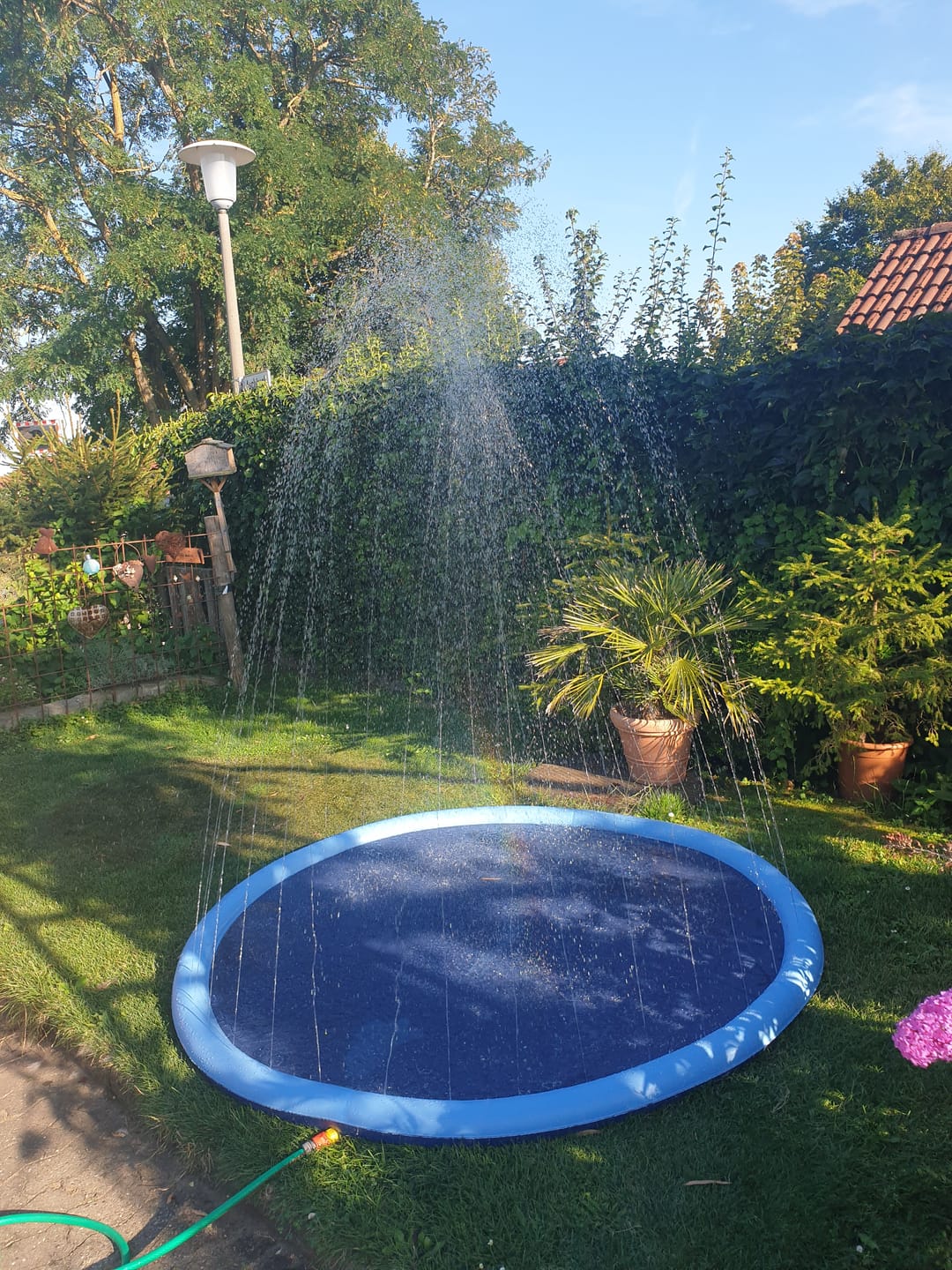 Customer photo review of Sprinkler Wasserspielmatte für Hunde