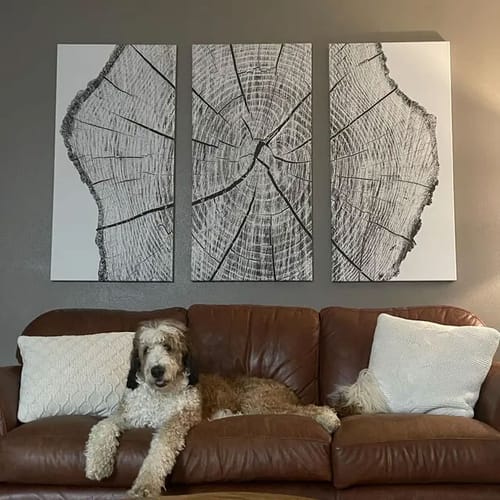 Customer photo review of Tree Ring Linocut Print, Lake House Minimalist Wall Art Canvas Print