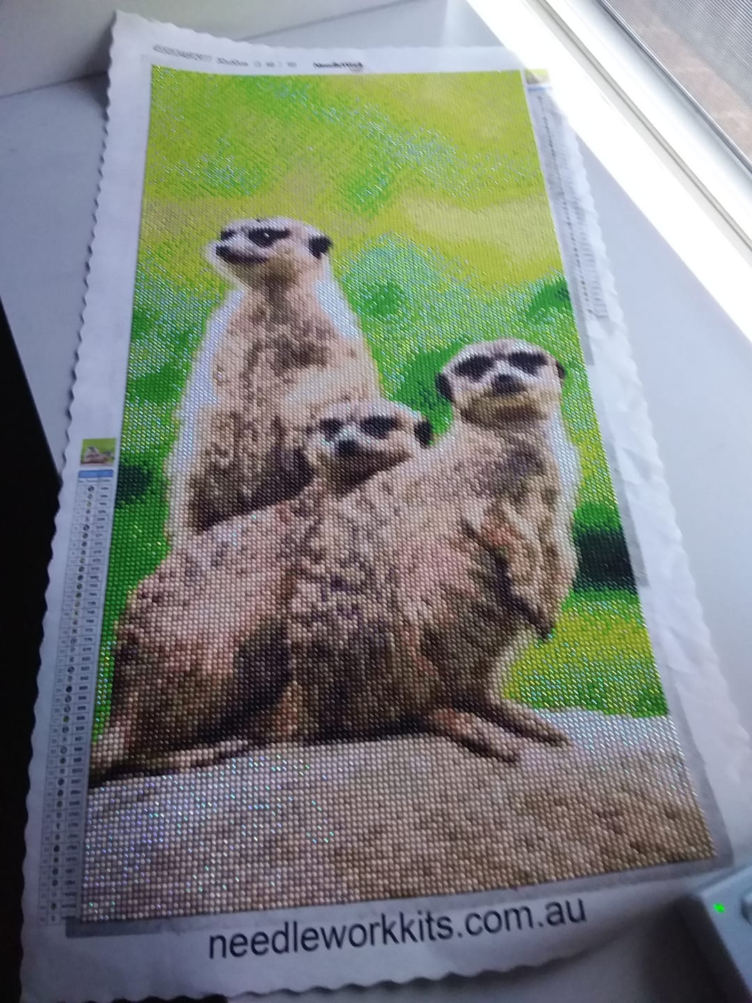 Customer photo review of Meerkats 01- Full Drill Diamond Painting -