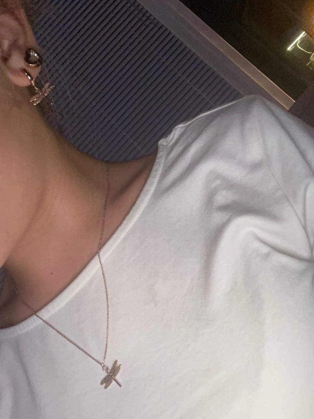 Customer photo review of Dragonfly Necklace