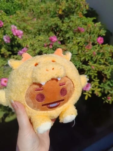 Customer photo review of BT21 Official Baby New Year Dragon Sitting Doll M Size