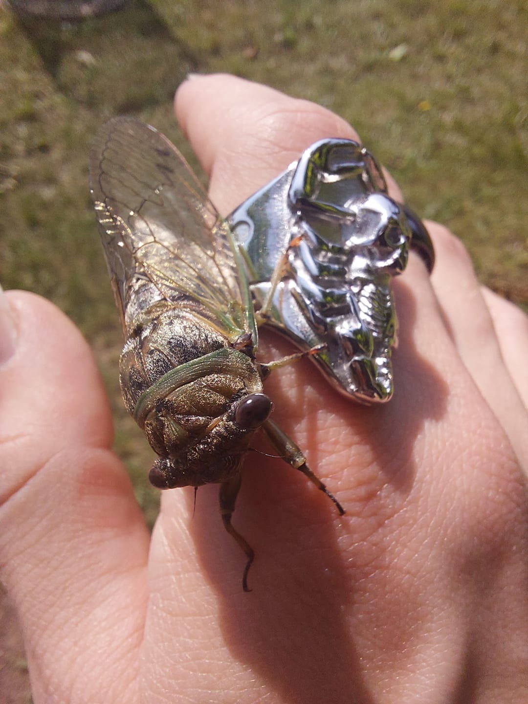 Customer photo review of RISING SCORPIO RING