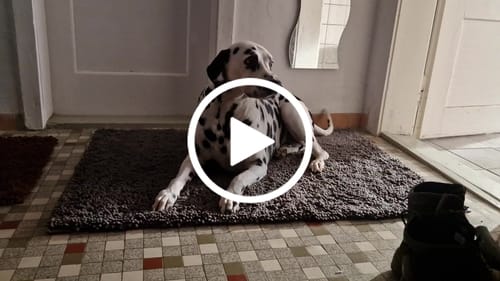 Customer video review of Premium - CleanyMat