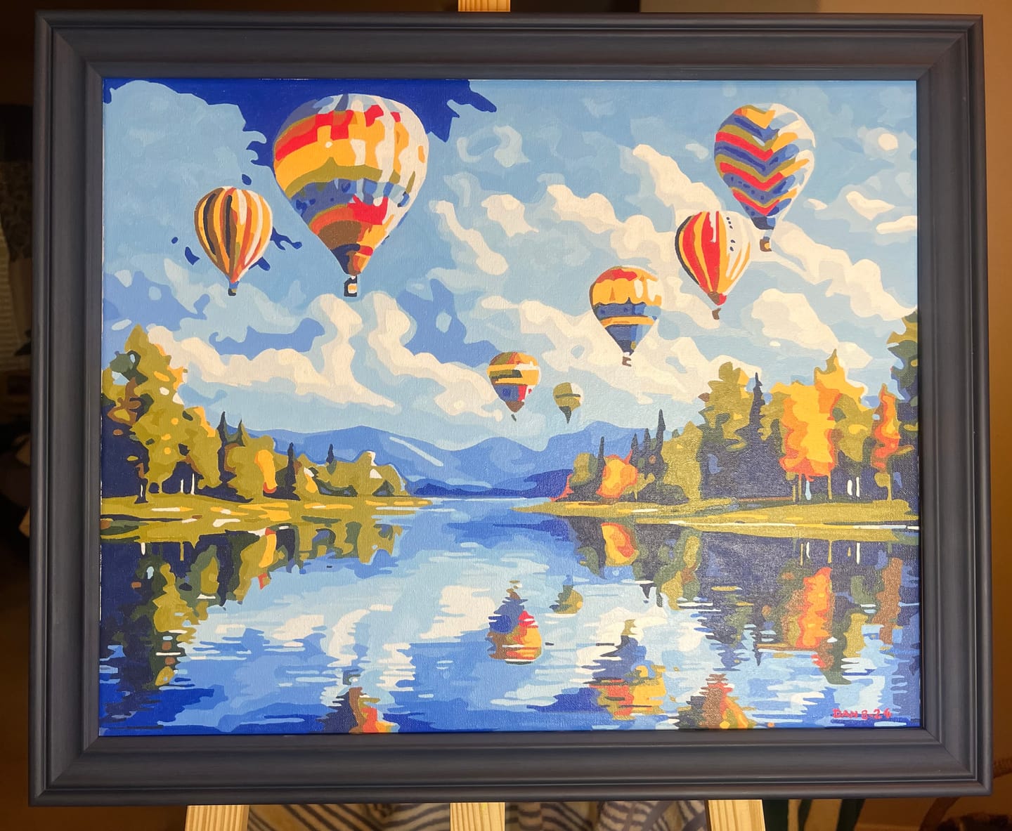 Customer photo review of Hot Air Balloon Showcase