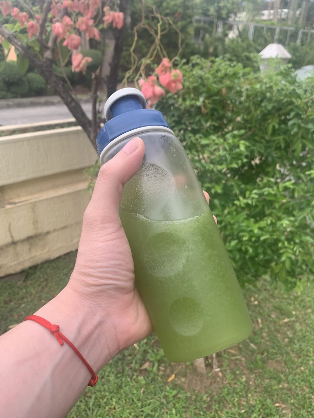 Customer photo review of 1 KILO PACK! FREE SCOOPER FOR THE FIRST 1000 CUSTOMERS!