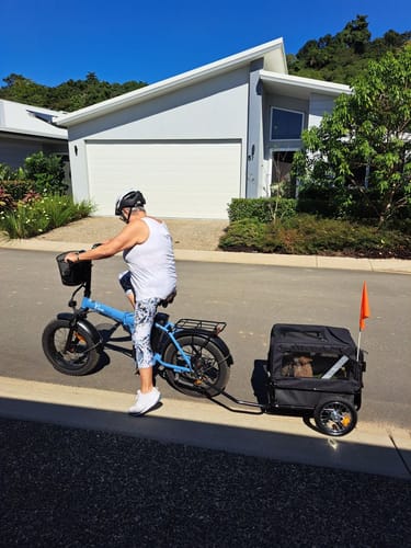 Customer photo review of PaWz Pet Stroller Bike Trailer Stroller Foldable Pet Trailer 2-IN-1 Outdoor With Sunroof