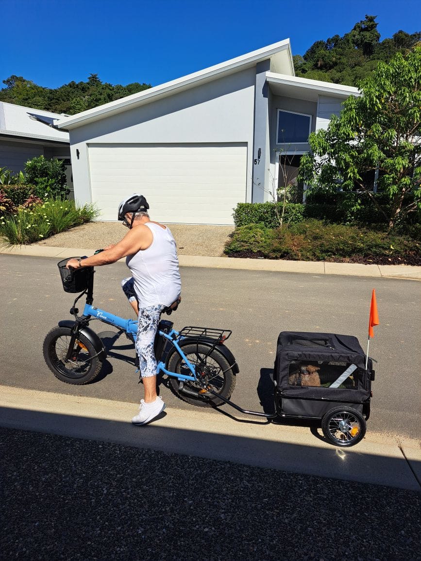 Customer photo review of PaWz Pet Stroller Bike Trailer Stroller Foldable Pet Trailer 2-IN-1 Outdoor With Sunroof