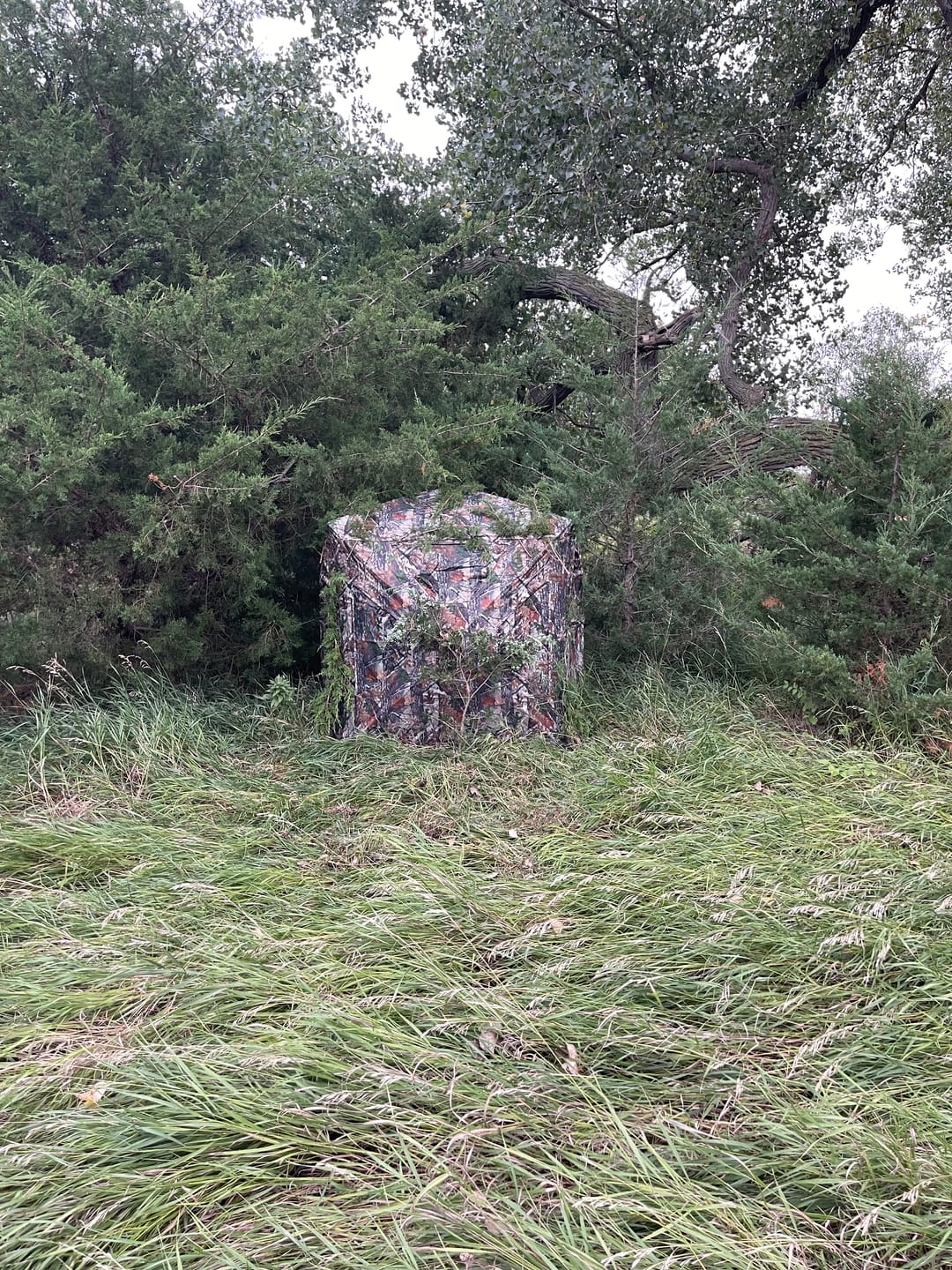 Customer photo review of Hunting Blind 270°See Through with Silent Magnetic Door & Sliding Windows, 2-3 Person Pop Up Ground Blind with Carrying Bag, Portable Durable Hunting Tent for Deer & Turkey Hunting(Camouflage)