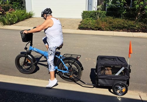 Customer photo review of PaWz Pet Stroller Bike Trailer Stroller Foldable Pet Trailer 2-IN-1 Outdoor With Sunroof