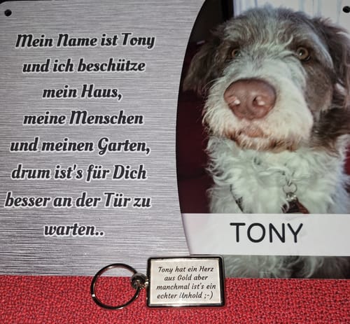 Customer photo review of Hunde-Türschild personalisiert mit Foto & Text (UV- und wetterfest)