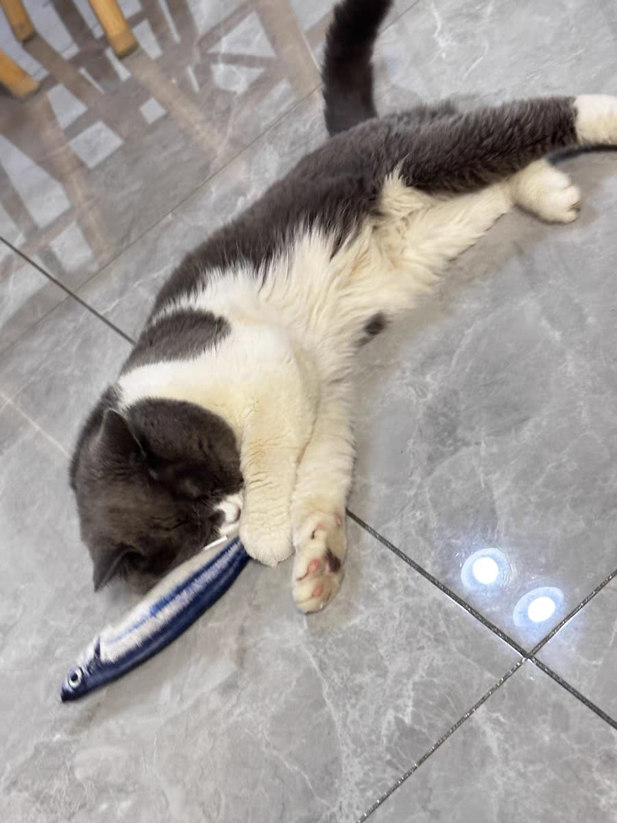 Customer photo review of 100% Natural Catnip Cat Toy