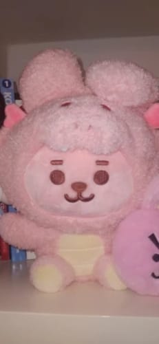 Customer photo review of BT21 Official Baby New Year Dragon Sitting Doll M Size