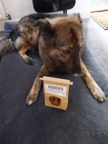 Customer photo review of Pooch's Handmade Dog Treats