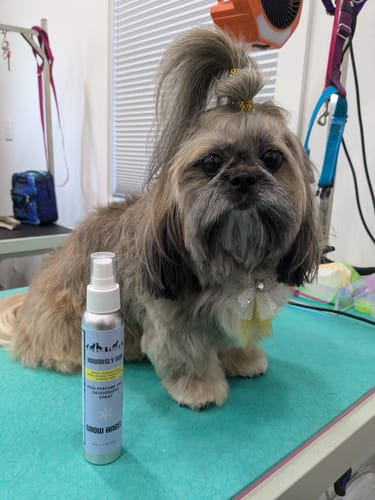 Customer photo review of Snow Angel Dog Perfume Spray
