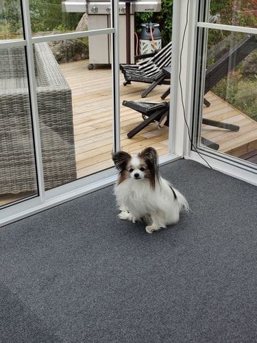 Customer photo review of Dry Step™ Termomatta, skär efter egna mått (ny)