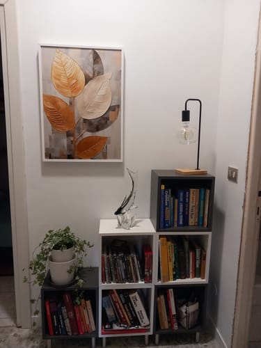 Customer photo review of ASSICURAZIONE PACCO