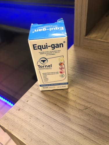 Customer photo review of Equi-gan