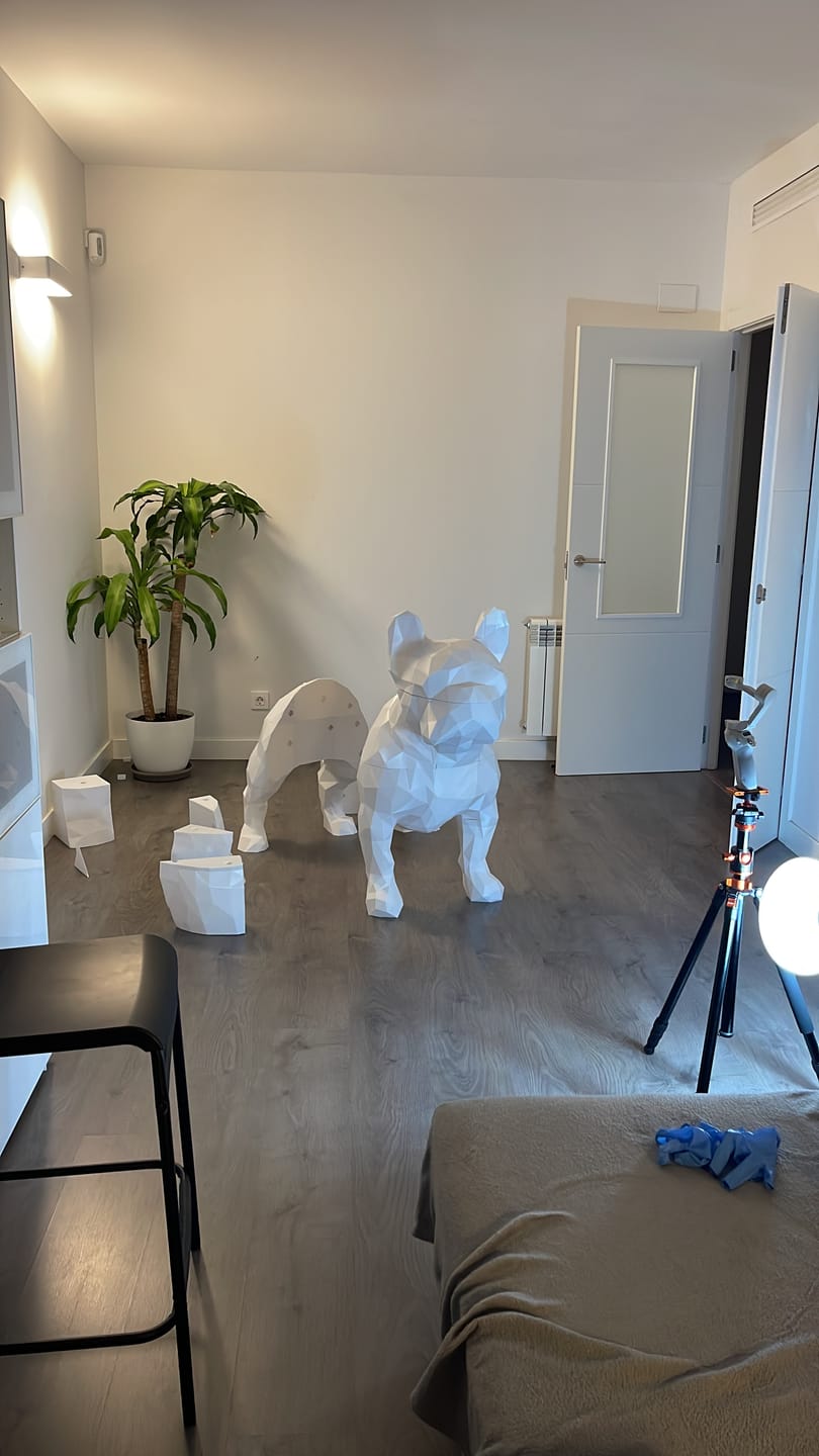 Customer photo review of PETG