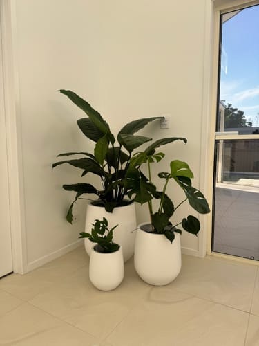 Customer photo review of Lucy