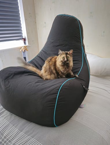 Customer photo review of Classic Gaming Bean Bag