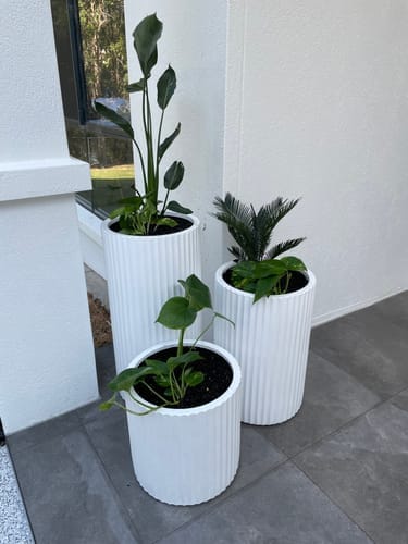 Customer photo review of Ribbed Loob