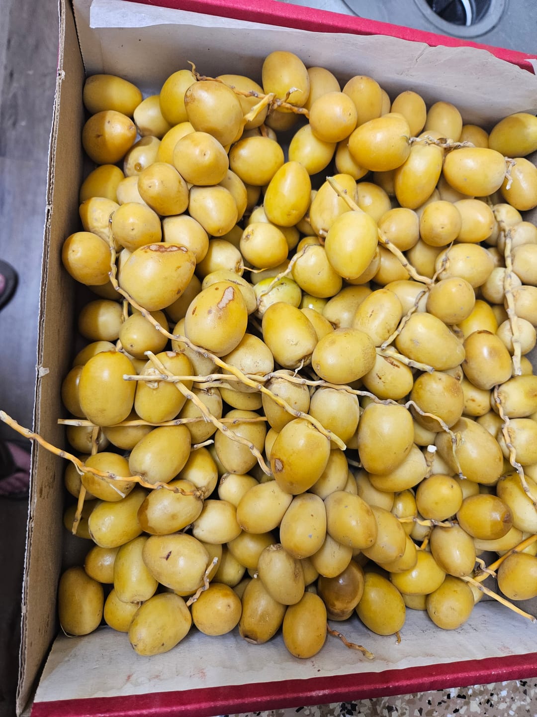 Customer photo review of Yellow Barhi Dates - Khalal Stage