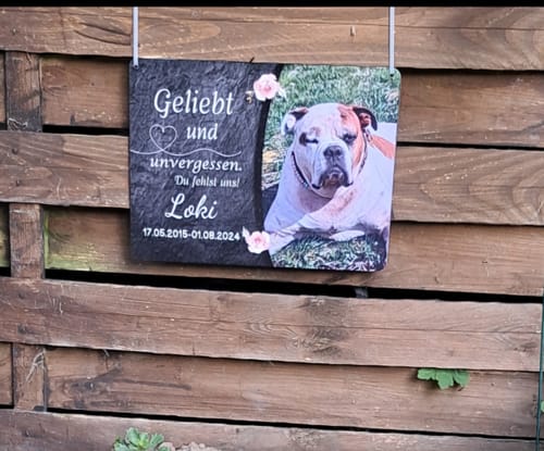 Customer photo review of Hunde Gedenktafel mit Foto & Spruch (UV- & Wetterfest)