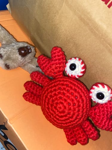 Customer photo review of Crabby Crochet Kit