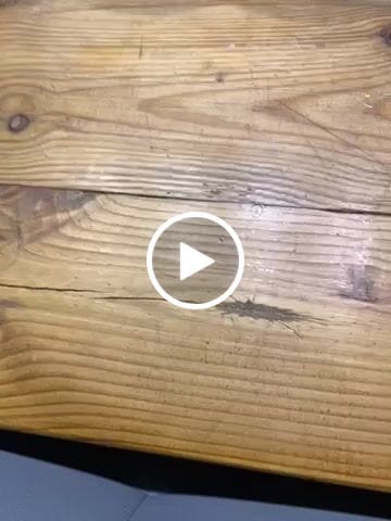 Customer video review of Luchtreiniger voor mensen met allergieën / H13 HEPA-filter tegen stof, schimmel, pollen, stof en geurtjes / Luchtzuiveraar / Met luchtkwaliteitsindicatielamp
