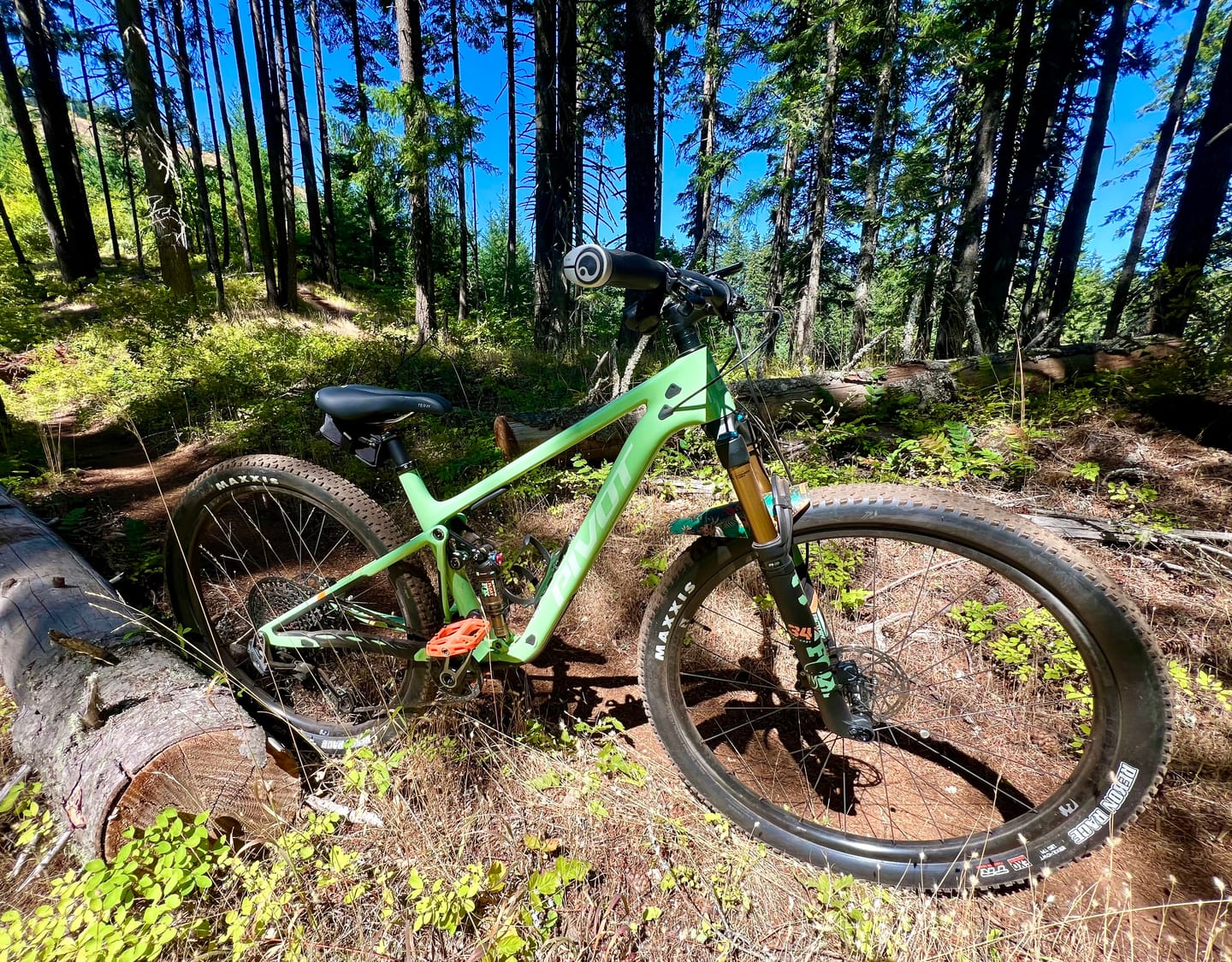Customer photo review of Botanic Revival Fender