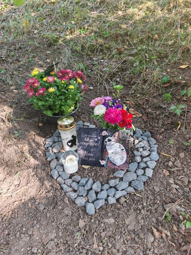 Customer photo review of Kaninchen Gedenktafel mit Foto & Spruch (UV- & Wetterfest)