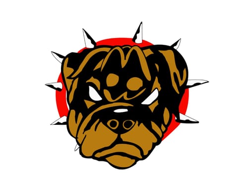 Customer photo review of Dozo PERKS 7-HYDROXYMITRAGYNINE | CHILL BERRY (MELLOW BLEND)