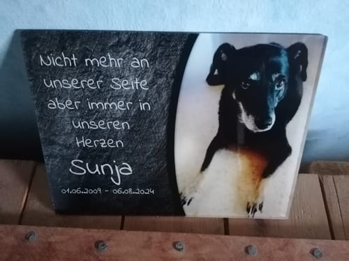 Customer photo review of Hunde Gedenktafel mit Foto & Spruch (UV- & Wetterfest)