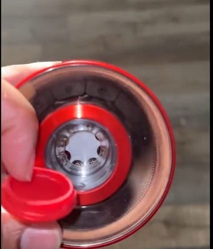 Customer photo review of Glowera™ 3 in 1 Red Light Scalp Massager