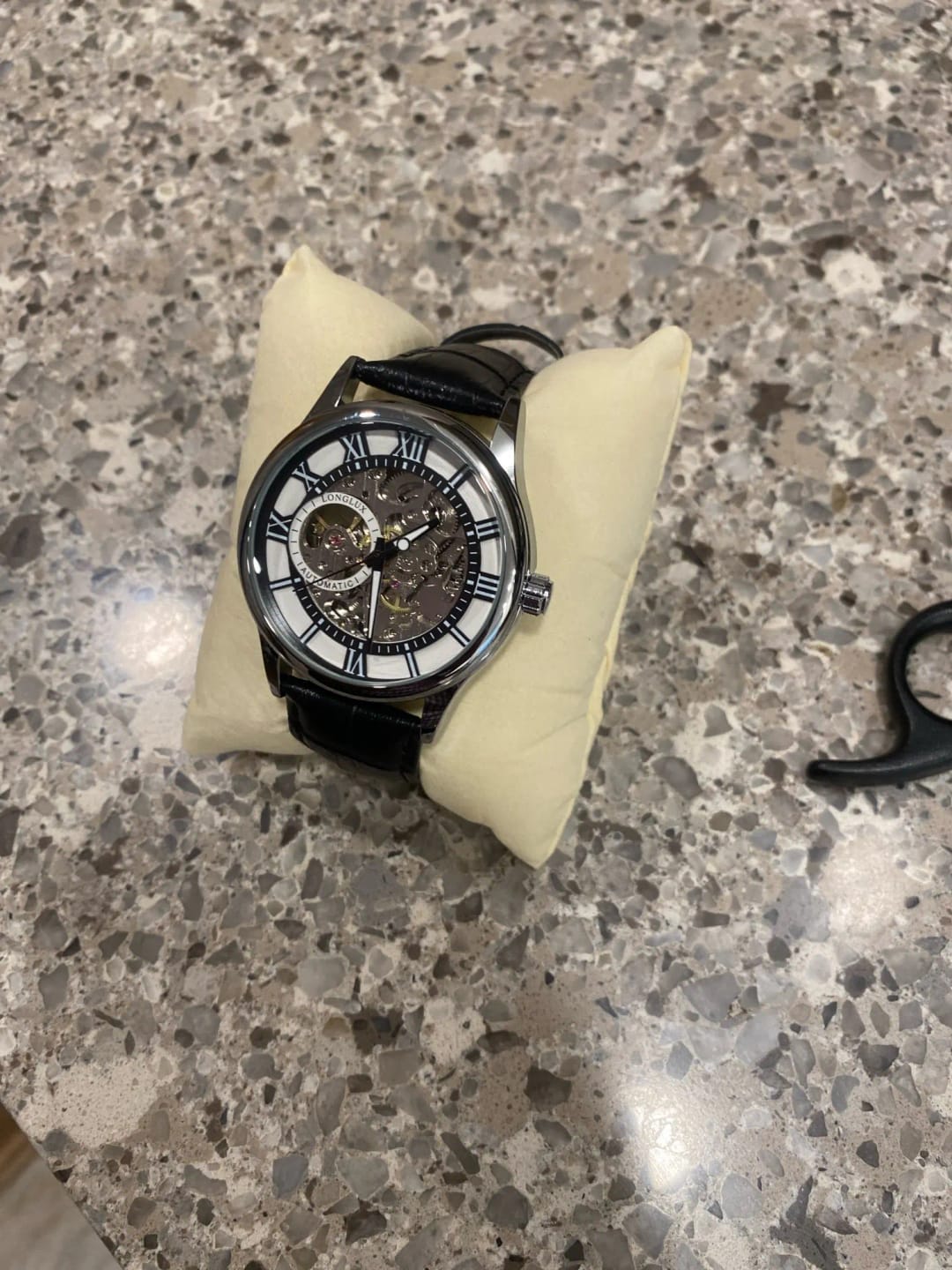 Customer photo review of Elegance® Navy Sleek 8020 Men Automatic Watch Mechanical Rome Skeleton 40mm Leather Waterproof Wristwatch