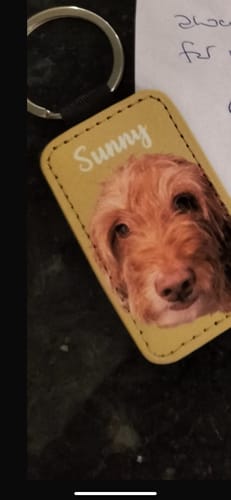 Customer photo review of Pet portrait - Personalised keychain