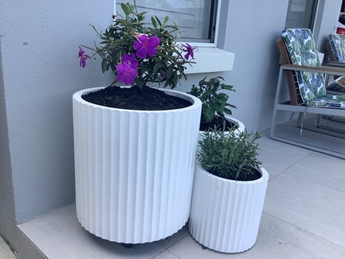 Customer photo review of Rosie