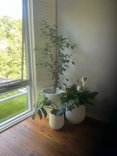 Customer photo review of Lucy