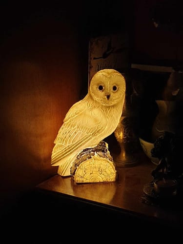 Customer photo review of Snowy Owl Table Lamp