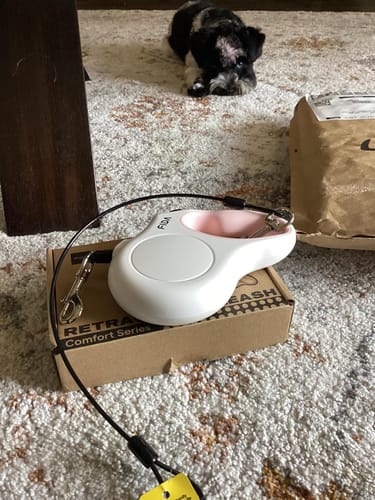 Customer photo review of FIDA 16ft Heavy Duty Retractable Dog Leash