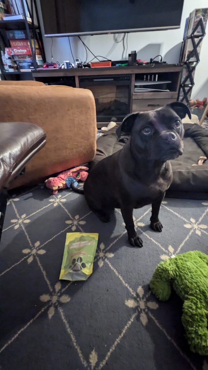 Customer photo review of Moo Moo Beef Jerky Dog Treat