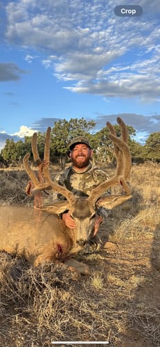 Customer photo review of Beast Broadheads (2-Pack + Practice Tip)