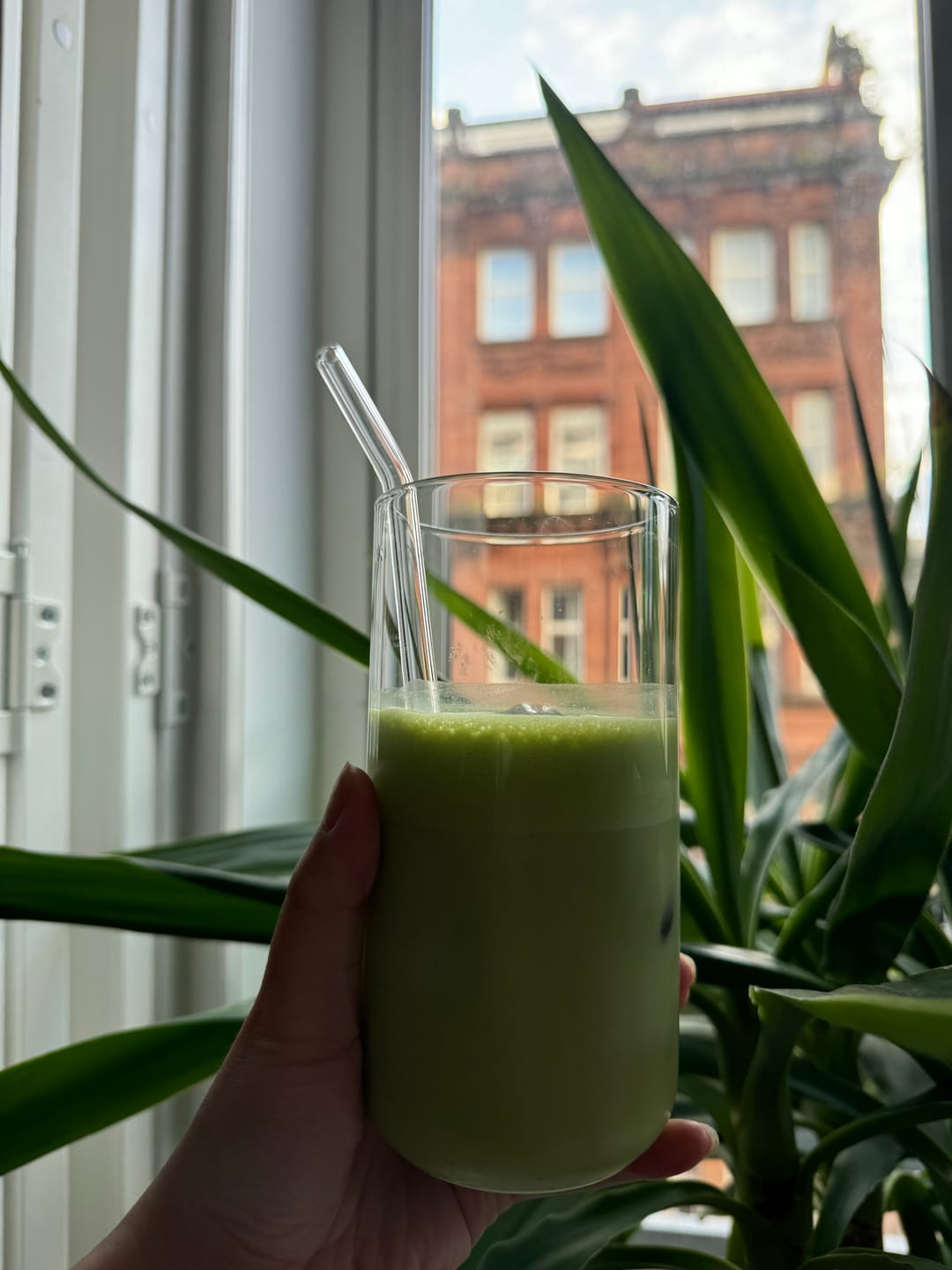 Customer photo review of Matcha Sample