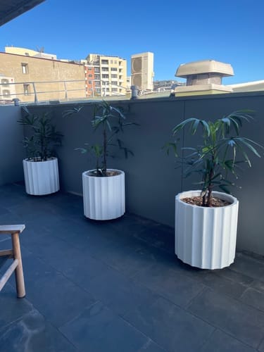 Customer photo review of FREE GIFT - Luxe Gardening Gloves