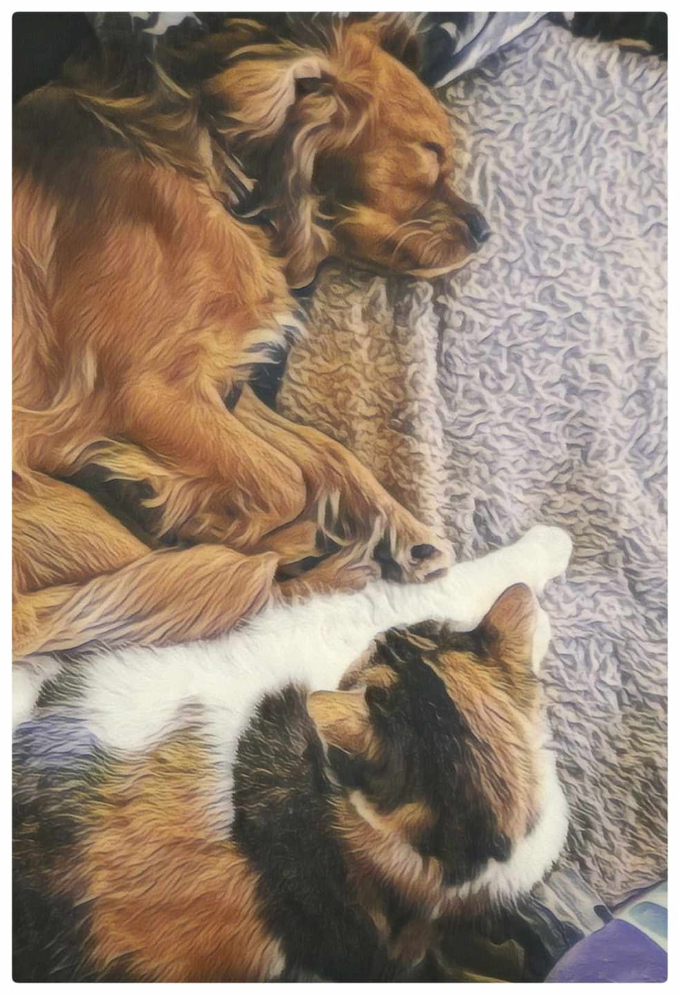 Customer photo review of No Rinse Lavender & Chamomile Dog Shampoo