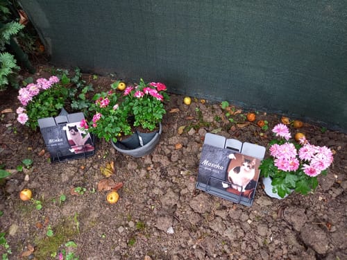 Customer photo review of Katzen Gedenktafel mit Foto & Spruch (UV- & Wetterfest)