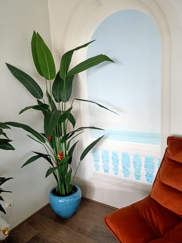 Customer photo review of Strelitzia Kunstplant Met Bloem 210cm