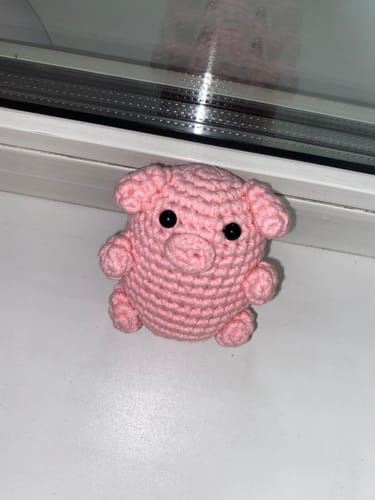 Customer photo review of Snouty Crochet Kit